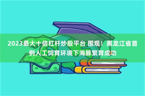 2023最大十倍杠杆炒股平台 围观！黑龙江省首例人工饲育环境下海豚繁育成功