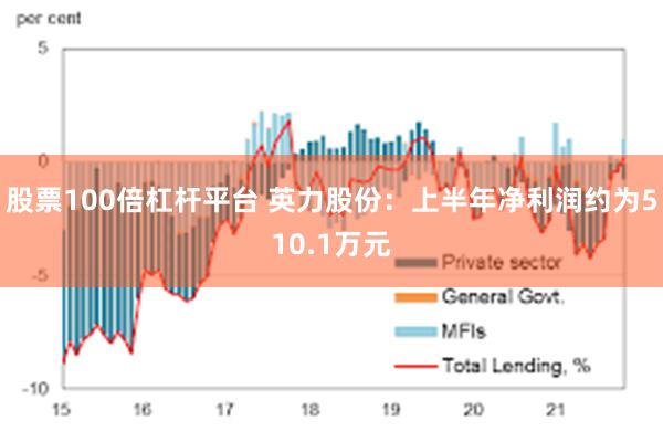 股票100倍杠杆平台 英力股份：上半年净利润约为510.1万元