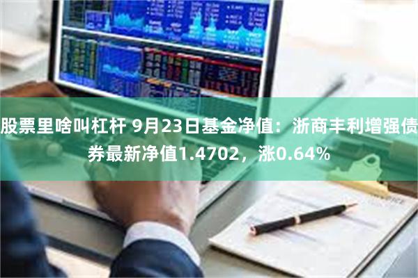 股票里啥叫杠杆 9月23日基金净值：浙商丰利增强债券最新净值1.4702，涨0.64%