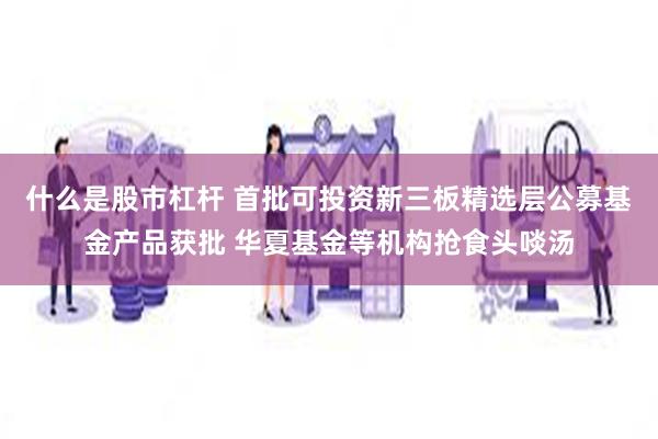 什么是股市杠杆 首批可投资新三板精选层公募基金产品获批 华夏基金等机构抢食头啖汤