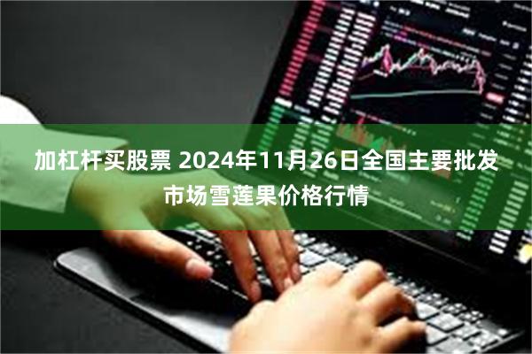 加杠杆买股票 2024年11月26日全国主要批发市场雪莲果价格行情