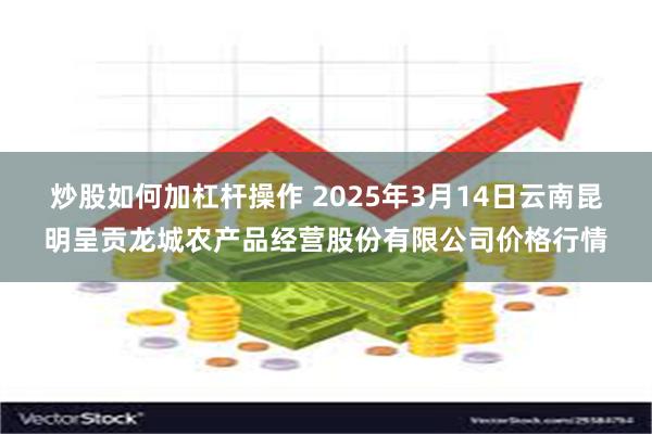 炒股如何加杠杆操作 2025年3月14日云南昆明呈贡龙城农产品经营股份有限公司价格行情